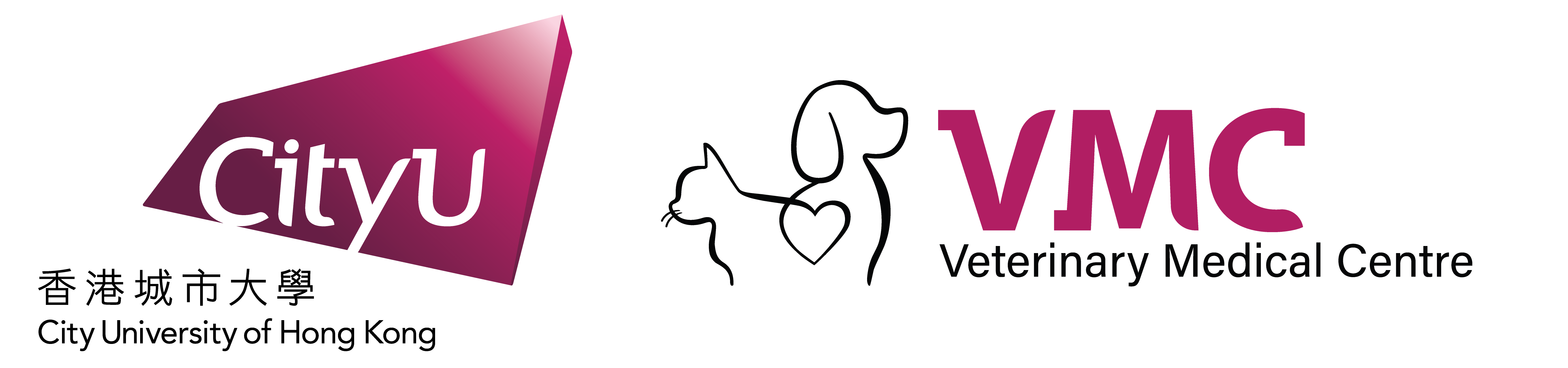 CityU VMC